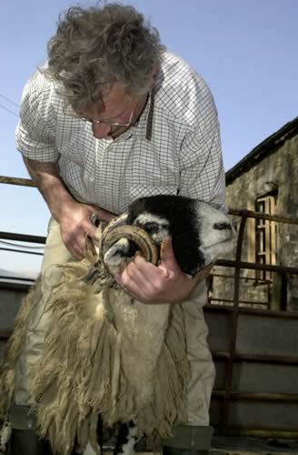 Farm Images
